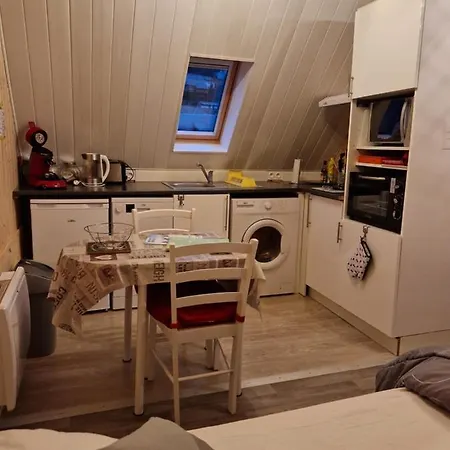 La Maison Des Fleurs *